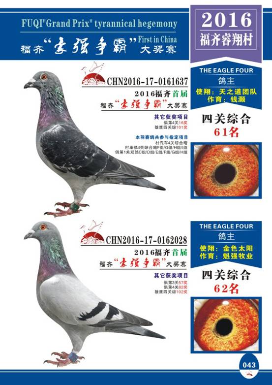 包含欧洲预选赛半年轮回战打响，各路豪强争霸的词条