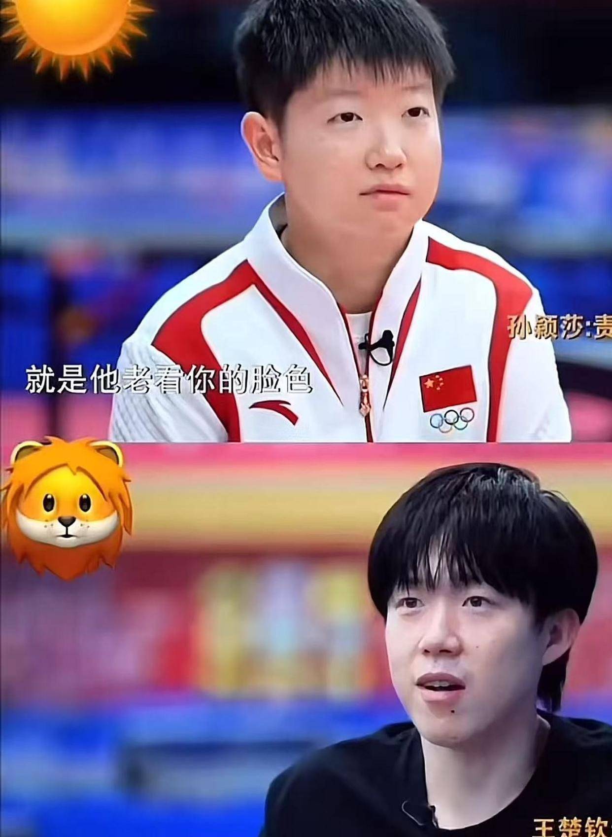 法国乒乓球队血洗韩国乒乓球队，许昕制霸全场的简单介绍