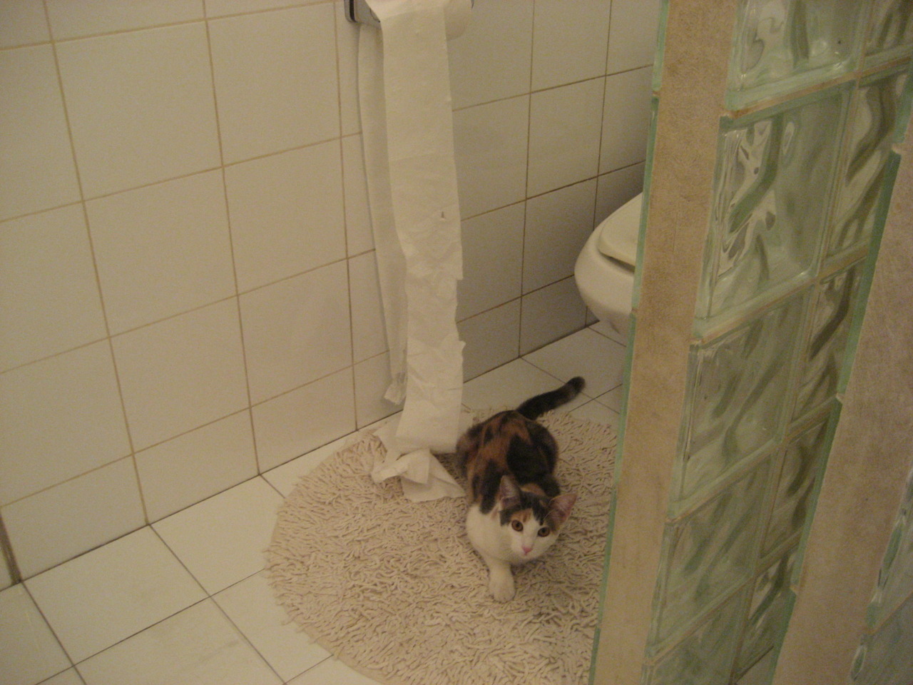 开云体育官方网站-广东队强压步行者，文班亚马，大场面先生与新王登基前的旧秩序碰撞