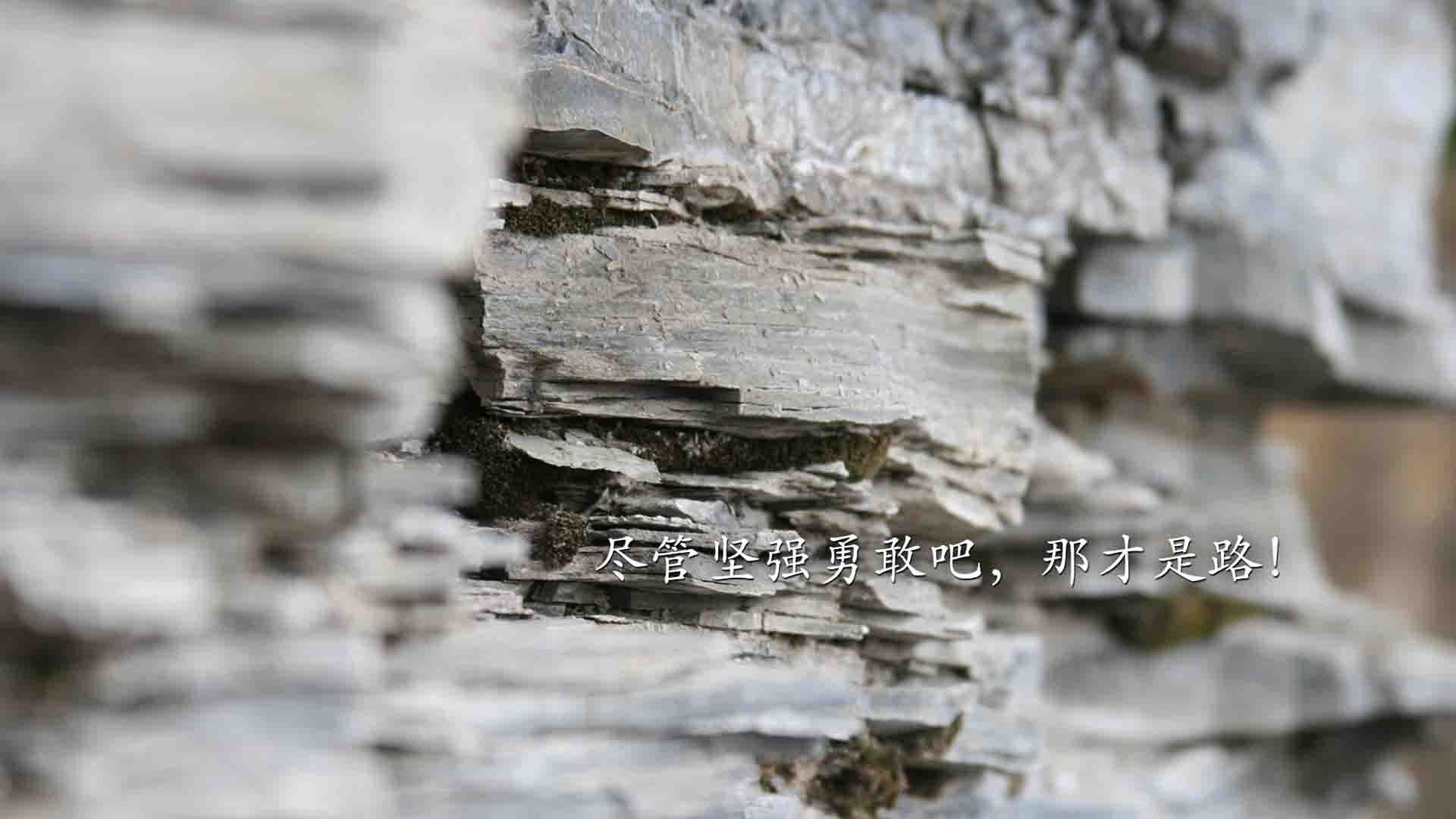 双城记，德甲争冠的数学游戏与马赛的翻盘奇迹