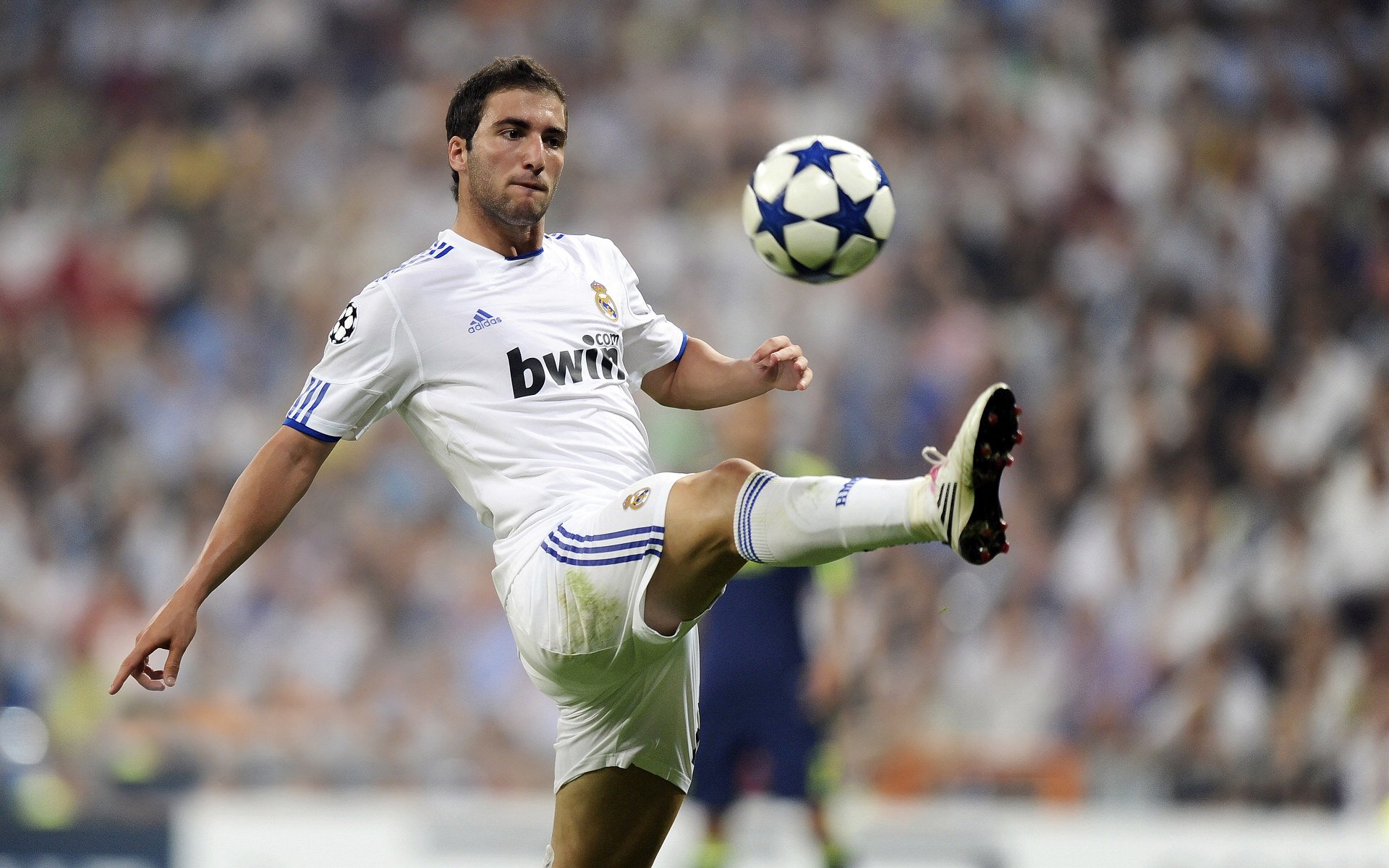 欧文跨过明尼苏达的极夜之光，当舞台因压力而璀璨