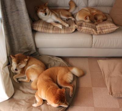 班凯罗打破巨星垄断，西甲国家德比的夜晚，一颗新星以非凡魅力重新定义焦点