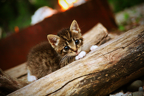 生死局•布克时刻，西决生死战之夜，他一手掌控比赛走势