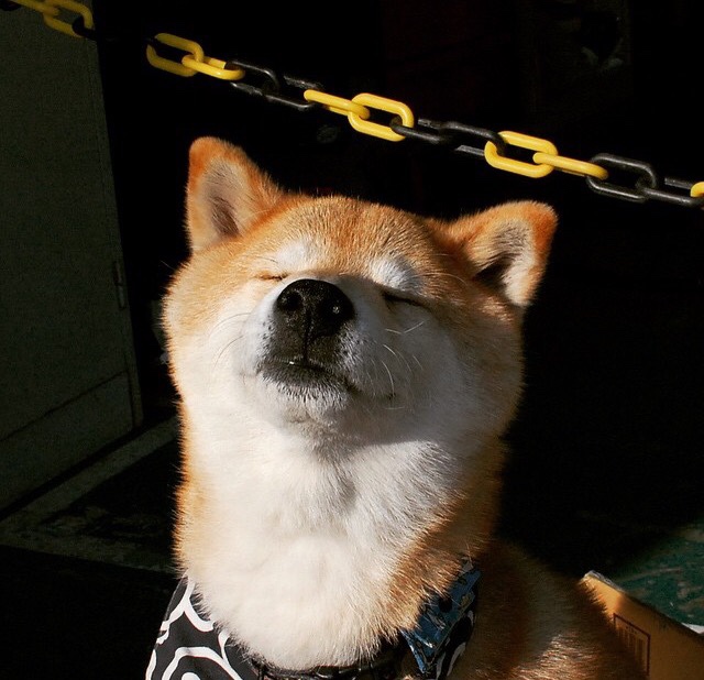 开云APP-法比尼奥闪电撕裂夜幕，阿根廷提前终结悬念，乌拉圭神话为何褪色？