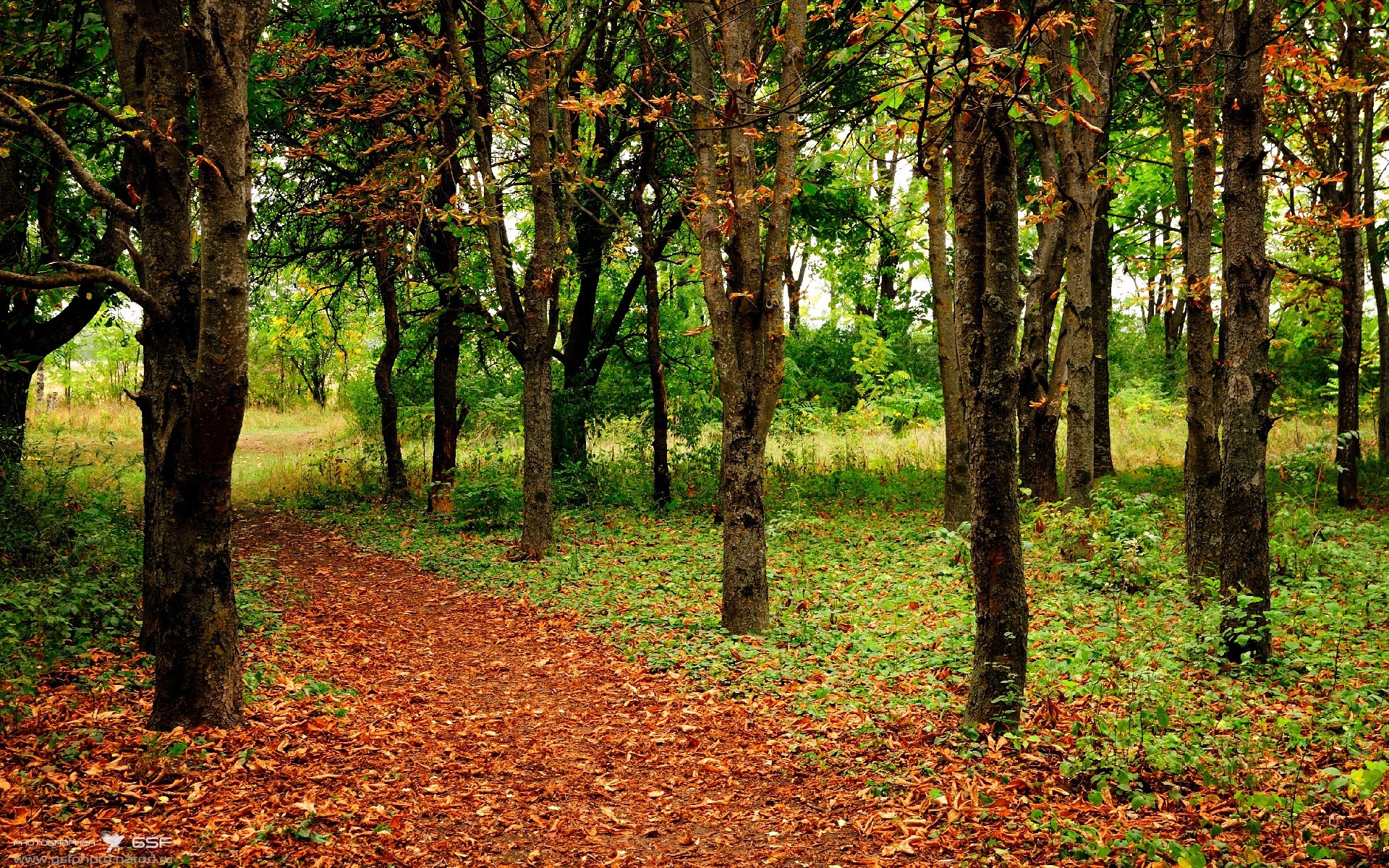 教科书级的闪耀，克莱·汤普森在季后赛抢七之夜