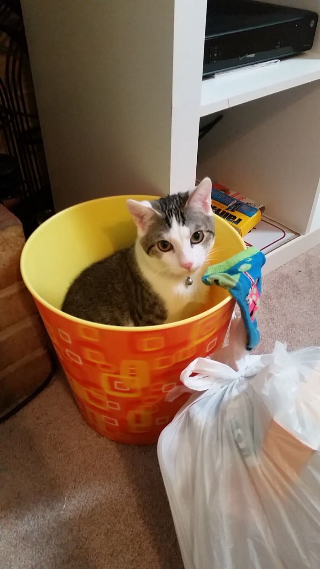 从世界杯泥泞到德甲锋芒,德国足球的战术觉醒与阿尔瓦雷斯的冠军时刻