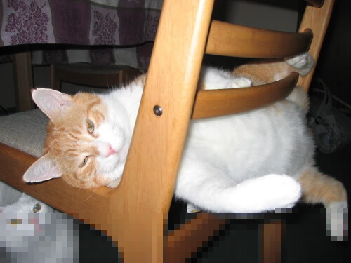 开云体育入口-体育双雄会，德甲争冠白热化，热火强势碾压篮网