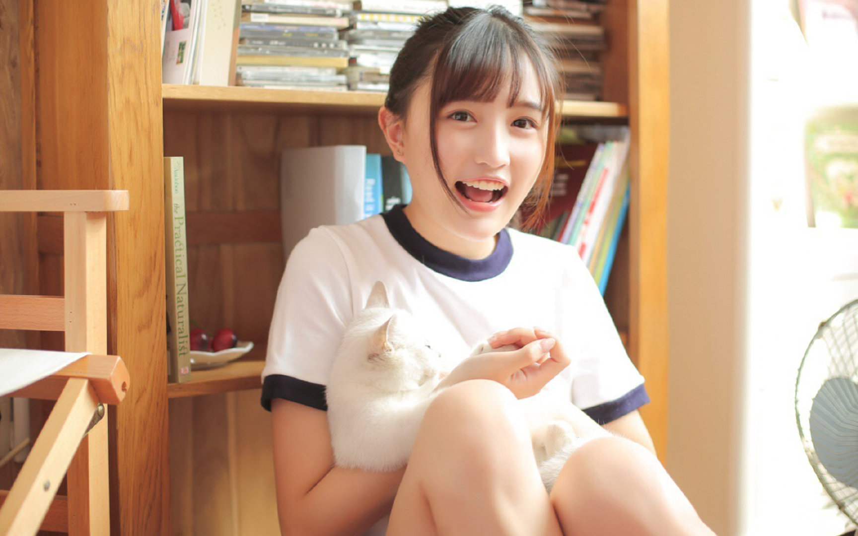 双星闪耀亚平宁，意甲天王山之战与字母哥的米兰之夜