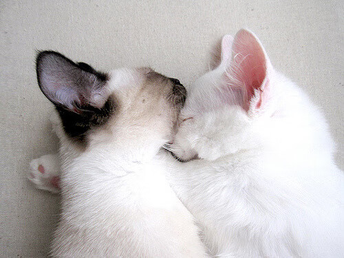 英超争冠之夜,福登上演天神下凡统治级表演