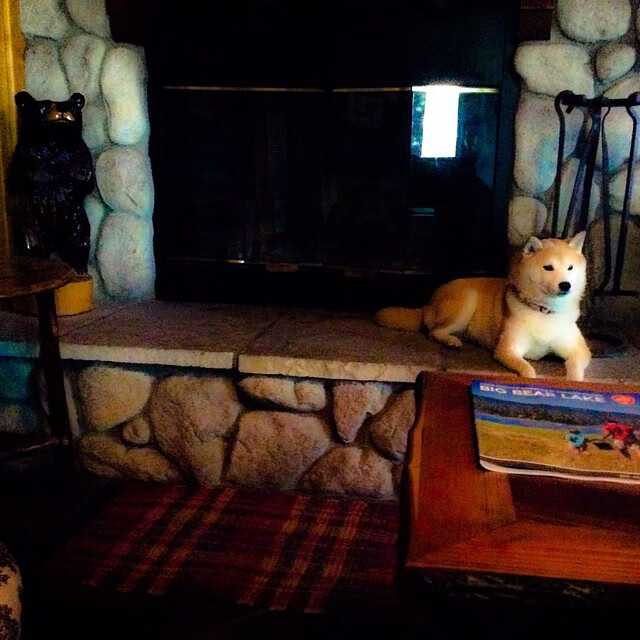 跨界的聚光灯法则,当NBA季后赛之夜遇见内马尔式大心脏