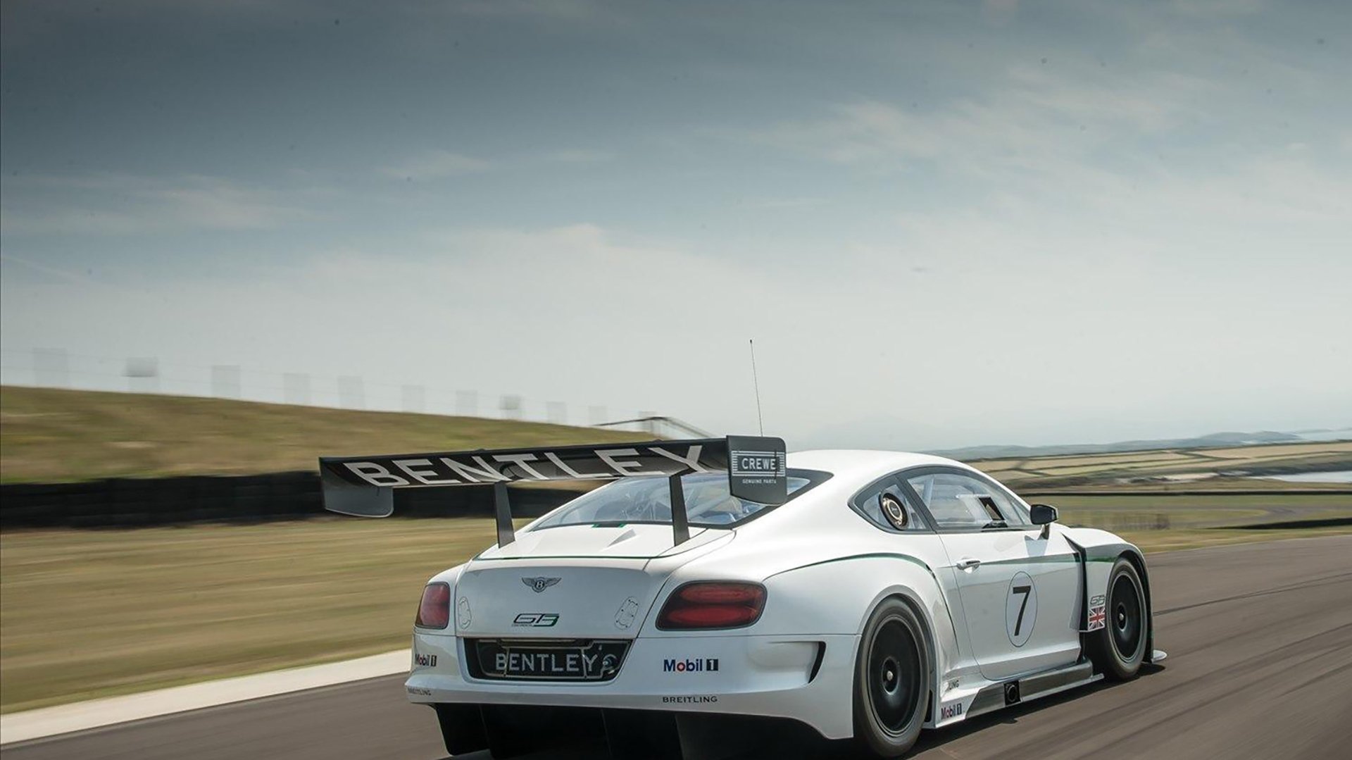 开云体育官网-辽宁打虎武神降世！武切维奇跨洋证明谁才是大场面先生