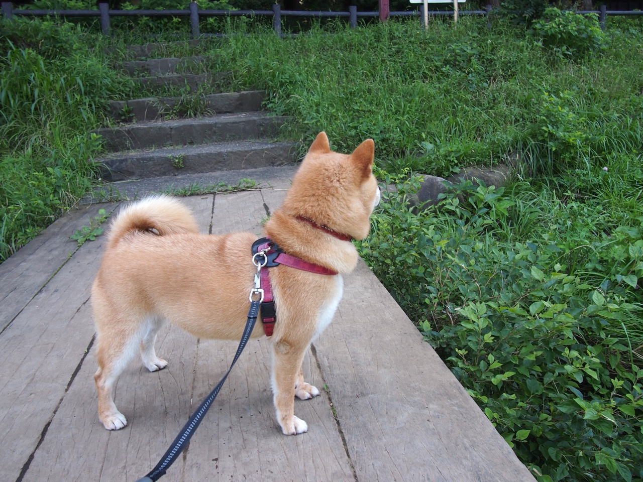 玄冥二老闪光新星爆燃！巴萨决胜局力擒塞维利亚，西甲争冠悬念再起