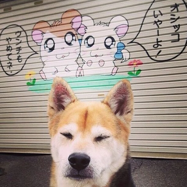 开云体育下载-当东方堡垒遭遇西方烈焰，欧冠半决赛的冰与火之歌