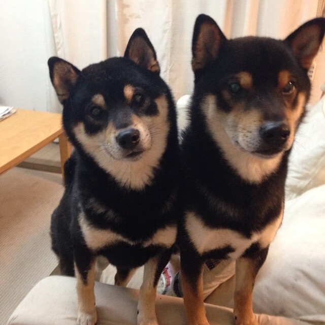 开云体育平台APP-新西兰强行终结厄瓜多尔，萨卡闪耀成关键先生